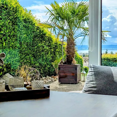 Bodensee - Palmen دايزندورف