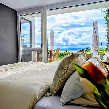 Apartment Bodensee - Palmen