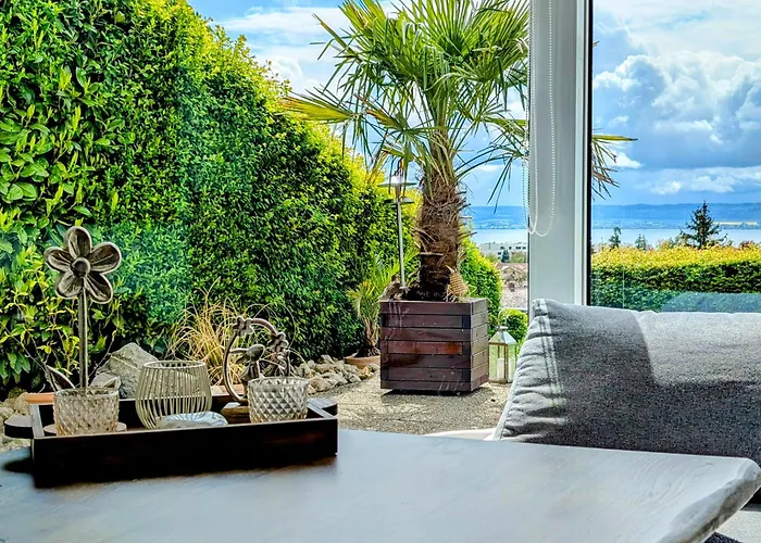 Bodensee - Palmen دايزندورف