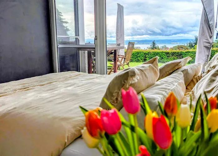 شقة Bodensee - Palmen دايزندورف